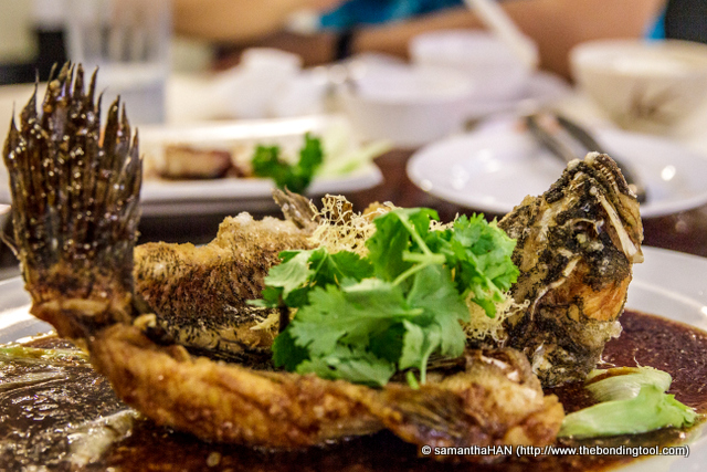 The Marble Goby (soon hock) is the biggest species of gobies and is one of the best tasting freshwater fishes, often served in restaurants. They either steamed or deep-fried as shown here. The texture of the meat is super fine and tender.